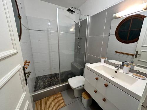 a bathroom with a shower and a sink and a toilet at Studio cosy plage et piscine à Bas Du Fort in Le Gosier