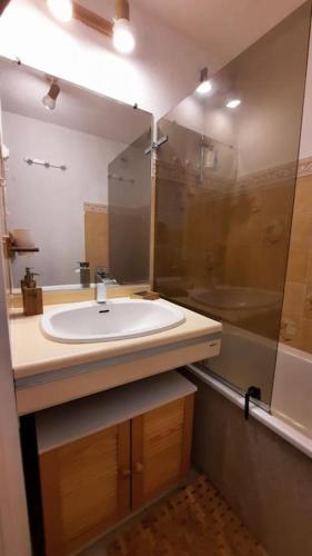 une salle de bain avec un lavabo blanc et une douche dans l'établissement Super appartement Cocooning vu Mont Blanc, à Sallanches
