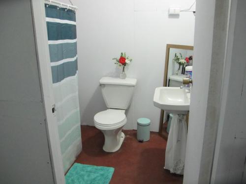bagno con servizi igienici e lavandino di Hostal Centro Pucón B a Pucón