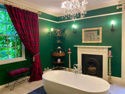 a green bathroom with a tub and a fireplace at Organic Welltree in Saint Martins