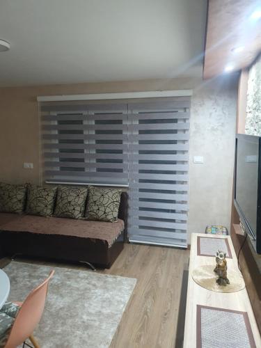 TV a/nebo společenská místnost v ubytování Apartman Nikolina