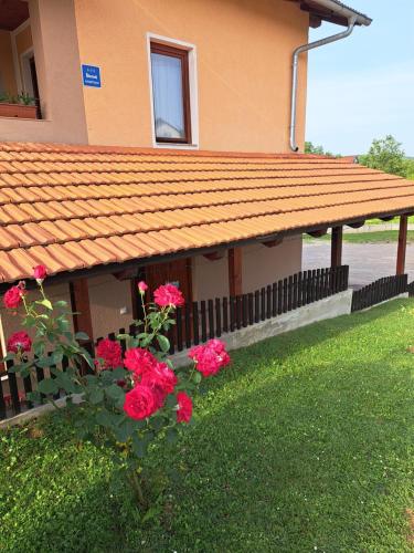 Taman di luar Apartman Morana