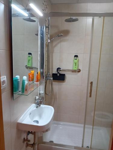 a bathroom with a shower and a sink at Casa el Olivo in Mazarrón