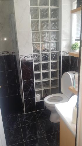 a bathroom with a toilet and a black tiled wall at 31 riverside in Great Clifton