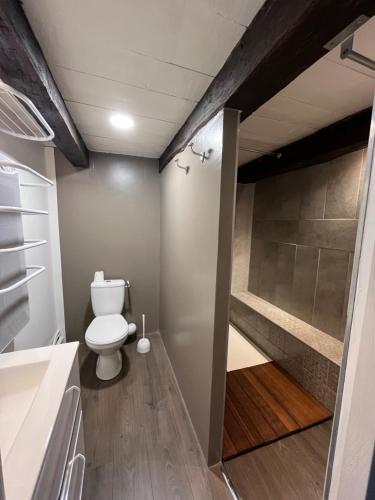 uma casa de banho com um WC e uma cabina de duche ao nível do chão em Studio, chambre privée em Langres