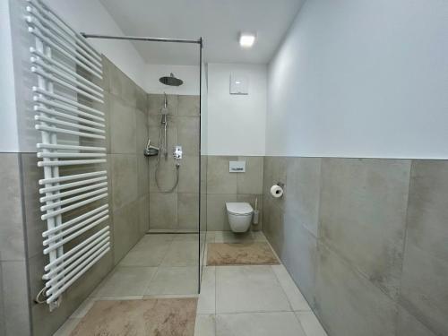 a bathroom with a shower and a toilet at Seeparkvilla – Wohlfühlen am See und im Grünen in Bregenz