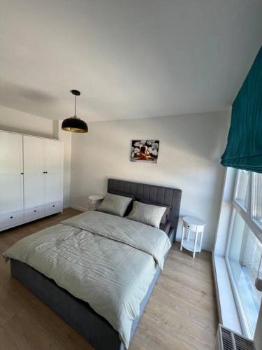 ein Schlafzimmer mit einem großen Bett in einem Zimmer in der Unterkunft Apartament spațios zona buna in Cluj-Napoca