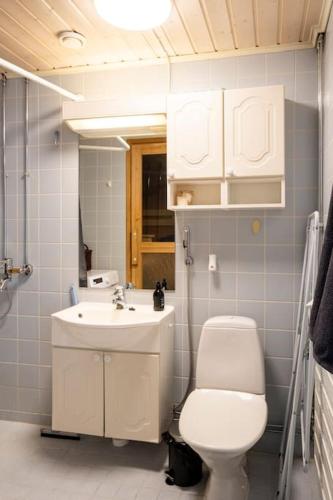 a bathroom with a toilet and a sink at Yksiö saunalla ja patiolla in Porvoo