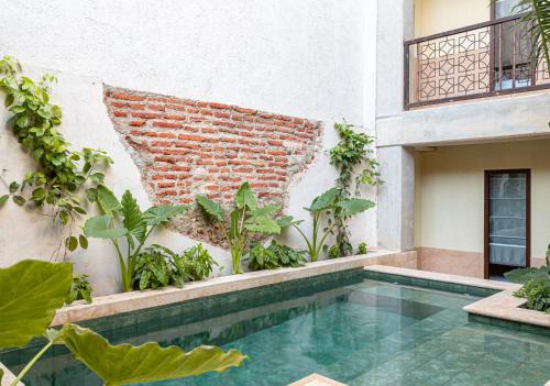 a swimming pool in the courtyard of a building with plants at Soy Local Insignia in Cartagena de Indias