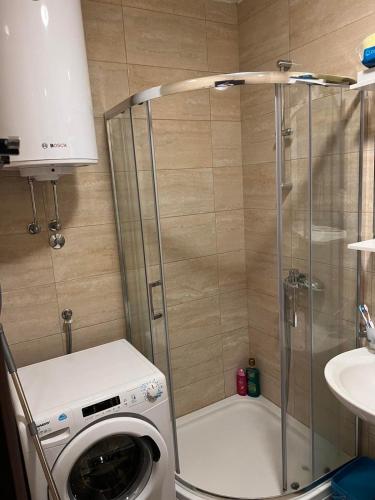 La salle de bains est pourvue d'une douche et d'un lave-linge. dans l'établissement Apartman darko, à Becici