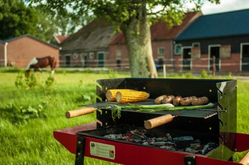 a grill with vegetables on it in a field at Cute little caravan for 2 in old orchard in Hem