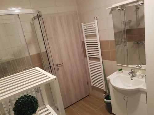 La salle de bains est pourvue d'une douche et d'un lavabo. dans l'établissement Apartma RELAX, à Bertoki