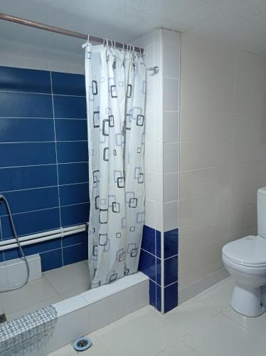a bathroom with a shower curtain and a toilet at BIG HOUSE in Dilijan