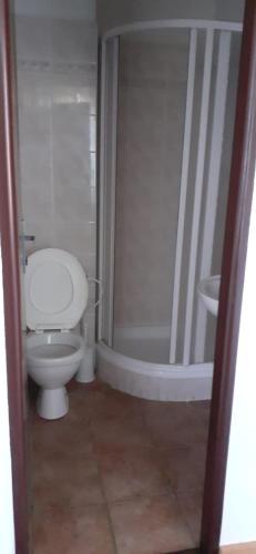 a bathroom with a white toilet and a shower at Kratochviluv mlyn in Červená Lhota