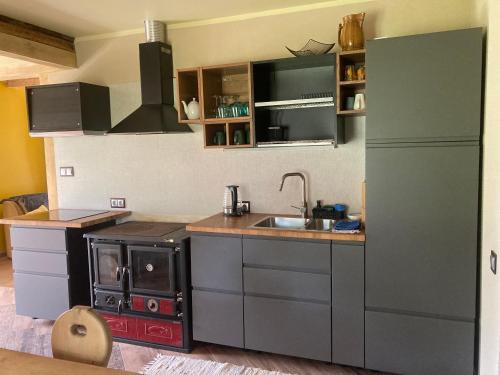 a kitchen with a sink and a counter top at Vējavas in Svettsiyems