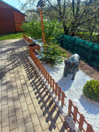 a dog standing in a yard next to a fence at Chata U lesa in Svoboda nad Úpou