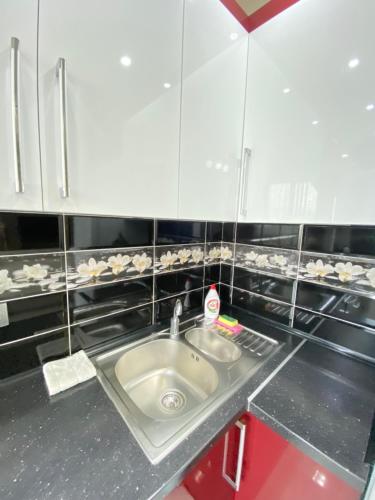 Kuchyň nebo kuchyňský kout v ubytování Two Bedroom Large Apartment in Chisinau