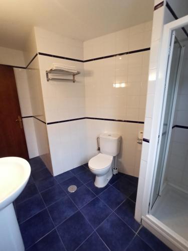 a bathroom with a toilet and a sink at La Estrada in Arriondas