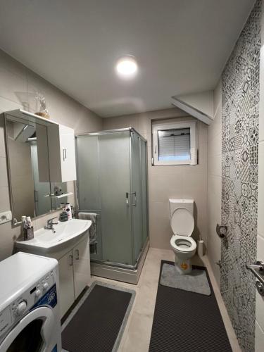 a bathroom with a shower and a toilet and a sink at Apartman Čapljina in Čapljina