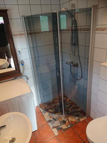 a shower with a glass door in a bathroom at Marken in Hjartdal