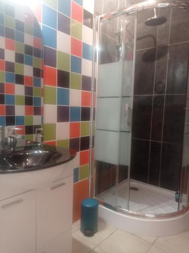 une salle de bain avec douche et lavabo dans l'établissement Maison de charme avec patio et terrasse de toit, à Estagel