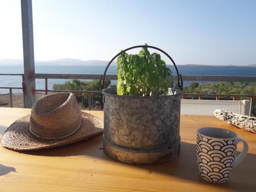 a plant in a bucket on a table with a hat at Seaside resort / Lemnos 