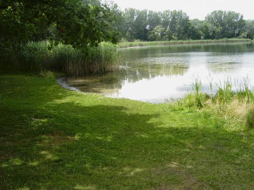 a body of water with grass next to a river at Ferienwohnung Last in Kyritz