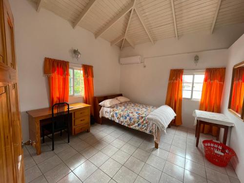 Schlafzimmer mit einem Bett, einem Schreibtisch und Fenstern in der Unterkunft Thomas Apartment Inc in Kingstown