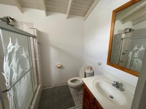 ein Bad mit einem Waschbecken und einem WC in der Unterkunft Thomas Apartment Inc in Kingstown