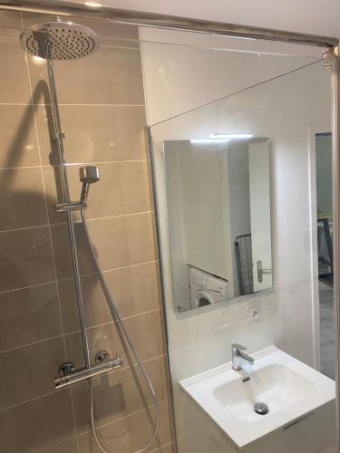 a bathroom with a sink and a shower with a mirror at Nid Douillet in Saint-Paul-lès-Dax