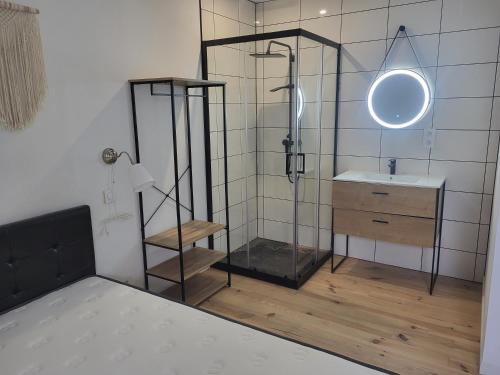 een badkamer met een douche, een wastafel en een spiegel bij La Grange - 10 couchages in Carla-de-Roquefort
