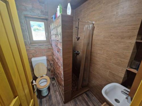 a bathroom with a shower and a toilet and a sink at Vikendica Una in Kostajnica