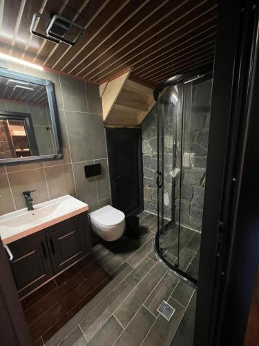 a bathroom with a shower and a toilet and a sink at AYDER VANAK STONE SUİTES in Ayder Yaylasi