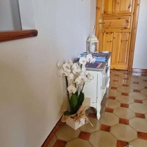 Фотография из галереи B&B Da Laura San Teodoro в Сан-Теодоро