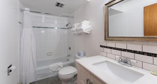 uma casa de banho com um lavatório, um WC e um espelho. em Cedar Motel em Radium Hot Springs