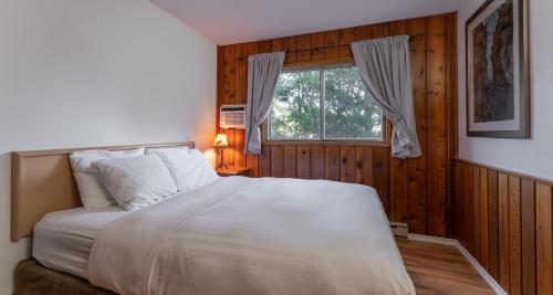 a bedroom with a white bed and a window at Cedar Motel in Radium Hot Springs