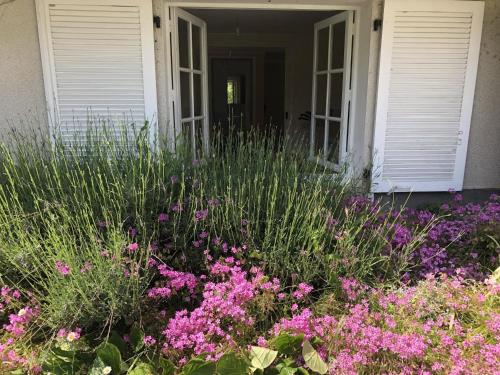 a garden with pink flowers in front of a house at Les vieux fourneaux in Nantiat