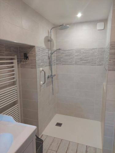 ein Bad mit einer Dusche und einer Glastür in der Unterkunft Les hirondelles in Laquenexy