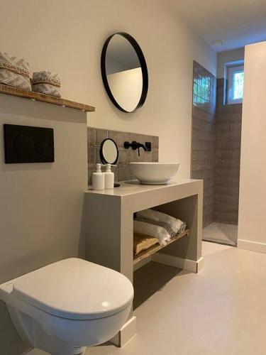 a bathroom with a toilet and a sink and a mirror at Stijlvol huisje met veranda! Tuynloodz A in Beers