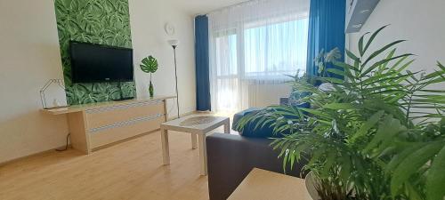 a living room with a couch and a tv and plants at Zaspa Apartament in Gdańsk