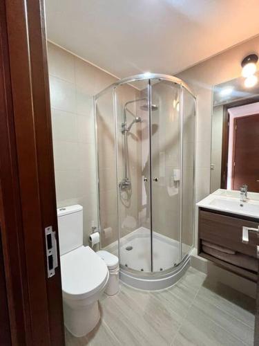 a bathroom with a shower and a toilet and a sink at Condominio Alta Vista Pucón in Pucón