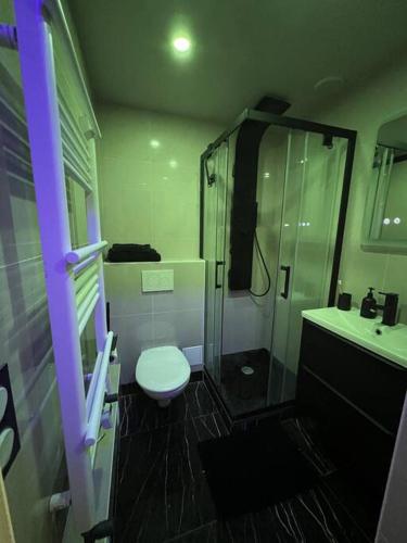 een badkamer met een douche, een toilet en een wastafel bij Luxury place with garden &easy access to all Paris in Parijs