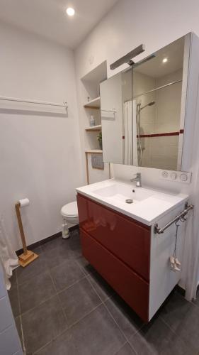 La salle de bains est pourvue d'un lavabo, d'un miroir et de toilettes. dans l'établissement Maison du quai à Saint Valéry sur Somme, à Saint-Valery-sur-Somme