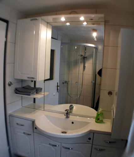 a bathroom with a sink and a shower and a mirror at Ferienhaus vom Bahratal in Hausen