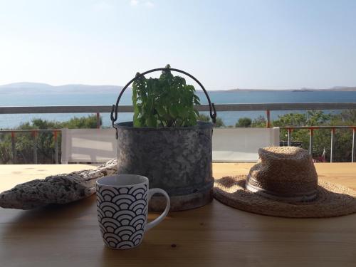 uma mesa com chapéus e uma planta com vasos e um copo em Seaside resort / Lemnos 