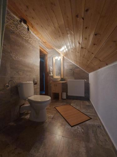 a bathroom with a toilet and a sink at Haihui pe Rusca in Sebeşu de Jos