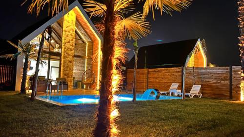 a house with a palm tree in the yard at night at OYARC SAPANCA VILLA / BUNGALOW in Sakarya