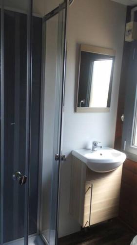 une salle de bain avec un lavabo et une douche en verre dans l'établissement Petit chalet à la campagne, à Meillac