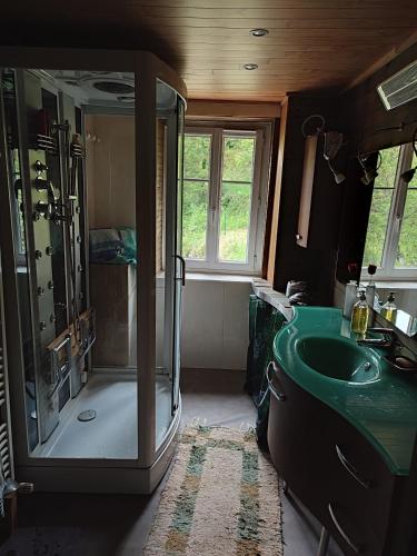 La salle de bains est pourvue d'une douche et d'un lavabo vert. dans l'établissement Moulin vieux, à La Bollène-Vésubie