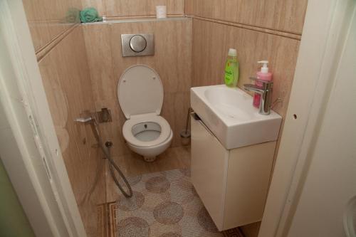 ein kleines Bad mit WC und Waschbecken in der Unterkunft Vila Omar in Sarajevo